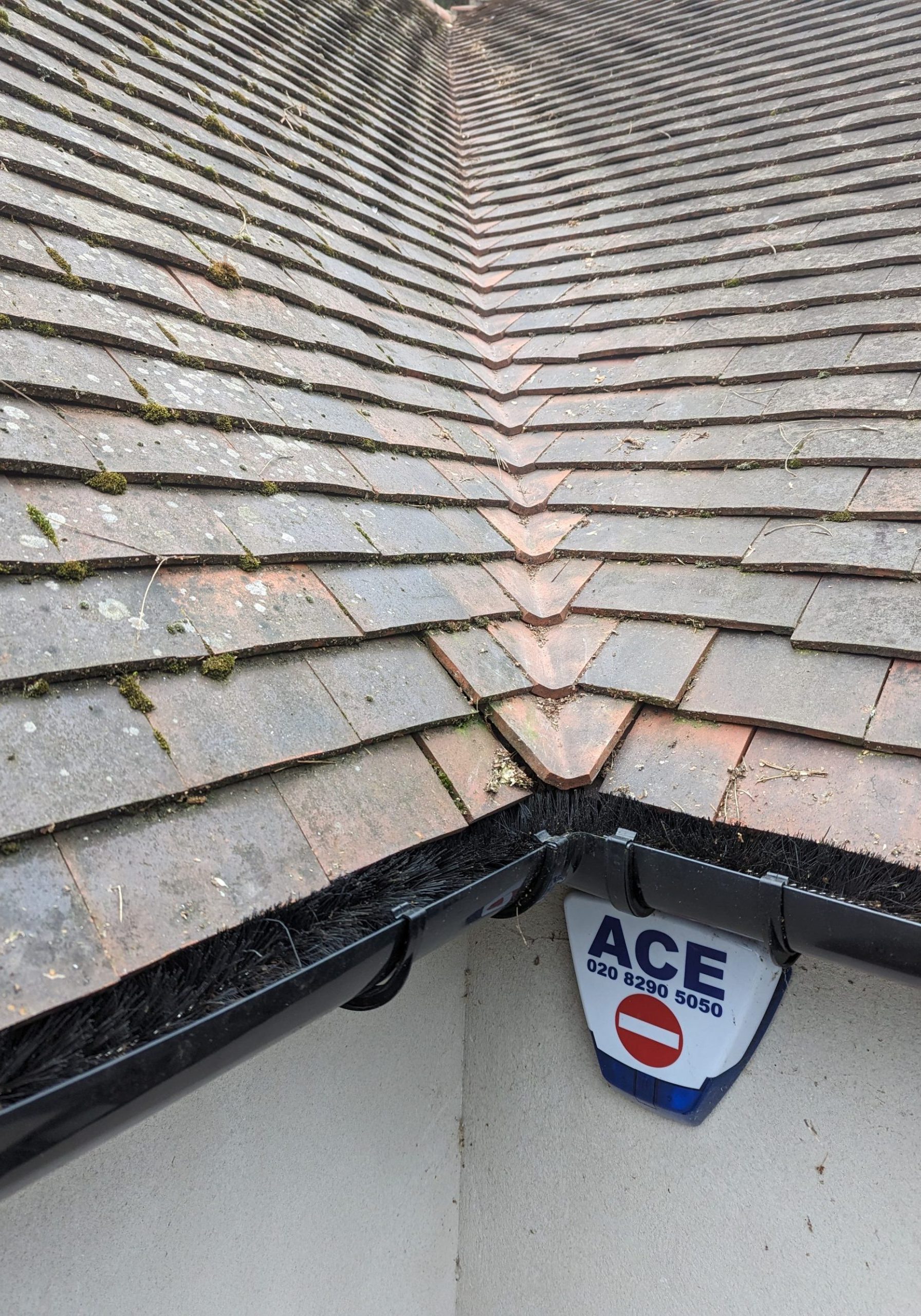 Gutter Cleaning Services in Bromley